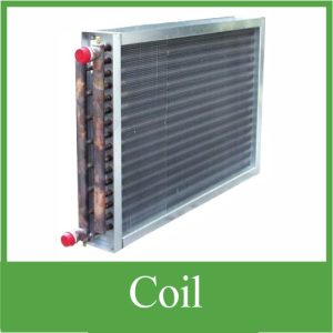 Coil