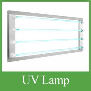 UV Lamp